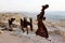 Farm animals and human statues in the Negev desert, En Avdat National Park,