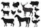 Farm animals icons set. Collection of labels with beautiful such as goat chicken pig boar duck goose horse cow Turkey