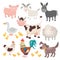 Farm animals. Pig donkey cow sheep goose rooster dog cartoon kids animal isolated set