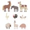 Farm Animals Set, Horse, Donkey, Cow, Goose, Turkey, Pig, Sheep Livestock Cartoon Vector Illustration