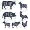 Farm animals, set icons. Collection of silhouettes such as cow, bull, sheep, pig, rooster, chicken, hen, goat. Vector