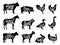 Farm Animals Silhouettes Collection. Butchery Labels Templates