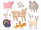Farm animals vector flat collection isolated on white background. Set of animals includes cow, pig, goat, sheep, turkey