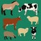 Farm animals vector set. Different cows, sheeps, horse illustration