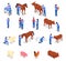 Farm Animals Veterinary Colored Isometric Icon Set