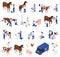 Farm Animals Veterinary Compositions
