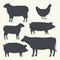 Farm Animals Vintage Set. Silhouettes of Cow, Pig, Sheep, Lamb, Hen. Farm Animals icons isolated on white background. Vector. Desi