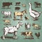 Farm animals vintage set (vector)