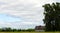 Farm and barn in Nisqually wildlife refuge park