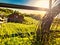 Farm Barn Summer Sunset