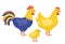Farm birds family. Chicken, rooster, chick isolated on white background. Vector illustration