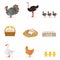 Farm Birds Grown For Meat and For Laying Eggs, Organic Farming Set Of Vector Illustrations With Animals