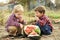 Farm boys eating watermelon