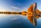 Farm for breeding fish. Evening on the breeding pond