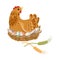Farm brown color chicken or hen stay on eggs