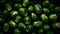 Farm Brussels sprouts with water drops, banner, Generative AI 1