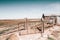 Farm buildings on the desert scrub plains