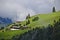 Farm buildings on a grassy slope in the Austrian Alps with patch of forest in the foreground