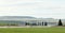 Farm buildings in a wheat field