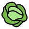 Farm cabbage icon color outline vector