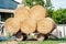 Farm cart with hay bales