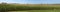 Farm Corn Field Panoramic Panorama Cornfield