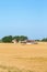 Farm in the cornfield