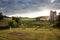 Farm and cows on a bright summer day