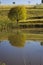 Farm dam with reflections of a single tree