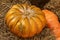Farm decor pumpkin orange and ribbed hay autumn harvest background