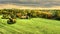 Farm at the edge of the Elm in Germany with a large cultivated meadow area near the Reitlingstal, aerial view