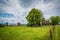 Farm in Elkton, in the Shenandoah Valley of Virginia.