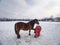 Farm employee hold horse at paddock for hooves check