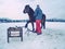 Farm employee hold horse at paddock for hooves check