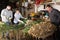 Farm family sorting freshly harvested green onions