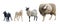 Farm, farm animals, cow on a white background, a sheep on a white background, a sheep, a bull, a horse, a group of animals on a wh