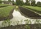 Farm farmer vegetable outdoor canal water produce concept