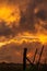 Farm fence with fiery stormy sunset clouds in African landscape