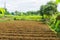 Farm field already fertilized and ready to cultivate with bushes around and beautiful sky as background photo taken in