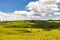 Farm field with clouds  and Araucaria trees