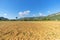 Farm Field. Freshly planted wheat field in American Midwest