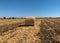 Farm field full with roll of hay bales at autumn