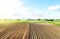 Farm field is half prepared Ridges and mounds for planting. Marking the field in rows. Agricultural technology and standardization