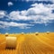 Farm field with hay bales