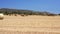 Farm field with hay bales