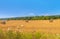 Farm field with hay bales