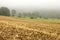 Farm Field in Mist