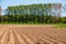 Farm field in the Netherlands is ready to be seeded. Agricultural fields in springtime. Symmetrical lines