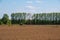 Farm field in the Netherlands is ready to be seeded. Agricultural fields in springtime. Symmetrical lines