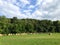 Farm Field With Rolled Hay